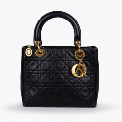 Christian Dior Dame Dior Medium