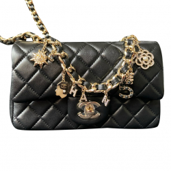 Chanel Coco Charms Flap Bag Limited Edition