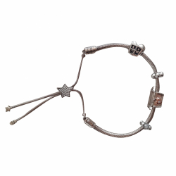 Pandora Bracelet with charms