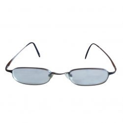 Polo Ralph Lauren Lesebrille