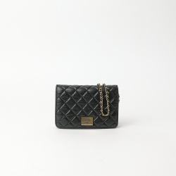 Chanel Wallet On Chain Bag