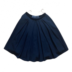 Lanvin pleated skirt