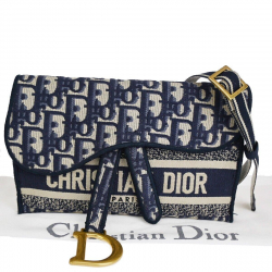 Christian Dior Dior Saddle