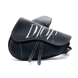 Christian Dior Dior Saddle
