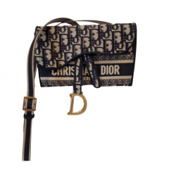Christian Dior Pochette Saddle