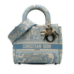 Christian Dior AB Dior Blue Light Blue Canvas Fabric Medium Toile de Jouy Lady D-Lite Italy