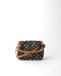 Louis Vuitton Sologne Multicolor Bag