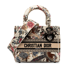 Christian Dior AB Dior Brown Beige Canvas Fabric Medium Jardin d'Hiver Lady D-Lite Bag Italy