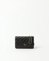 Chanel Wallet On Chain Bag