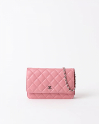 Chanel Wallet On Chain Bag