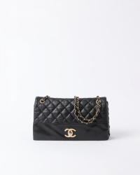 Chanel Soft Elegance Flap Bag