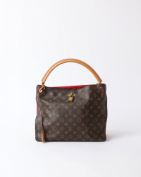 Louis Vuitton Gaia Bag