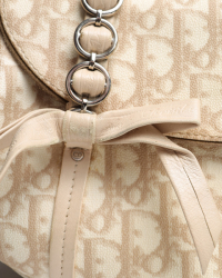 Christian Dior Trotter Romantic Hobo Bag