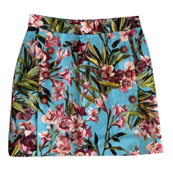 Dolce&Gabbana Jupe