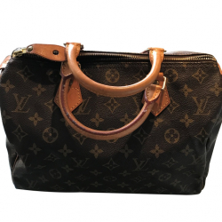Louis Vuitton Sac à main 