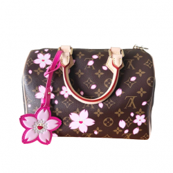 Louis Vuitton Kirschblüte 2025 Speedy 25