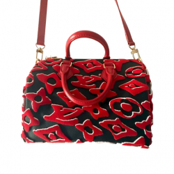 Louis Vuitton Speedy 25