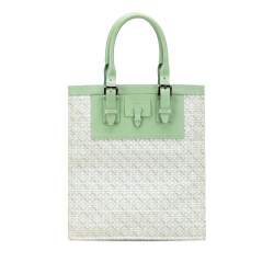 Loewe B LOEWE Green Mint Canvas Fabric Anagram Tote China