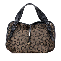 Celine B Celine Brown Canvas Fabric C Carriage Bittersweet Hobo China