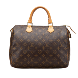 Louis Vuitton Speedy 30 Canvas Vintage Trunk Handbag Brown
