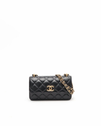 Chanel Wallet On Chain Bag