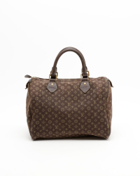 Louis Vuitton Mini Lin Speedy 30 Bag