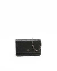 Chanel Shimmery Wallet On Chain Bag