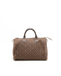 Louis Vuitton Mini Lin Speedy 30 Bag