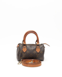 Louis Vuitton Monogram Nano Speedy Bag