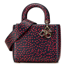 Christian Dior AB Dior Blue Navy Calf Leather Medium skin I Love Paris Lady Dior Italy