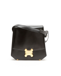 Celine Céline Triomphe Box Bag