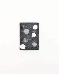 Louis Vuitton Yayoi Kusama Monogram Eclipse Pocket Organizer