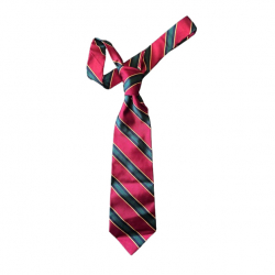 Polo Ralph Lauren Cravate