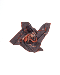 Hermès 65 Silk Scarf
