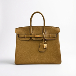 Hermès Birkin 25 Bronze Doré Togo Gold Hardware