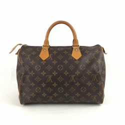 Louis Vuitton Sac à main 