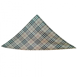 Burberry Foulard