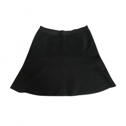 Sandro Skirt