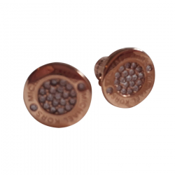 Michael Kors Earrings
