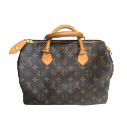 Louis Vuitton Sac à main 