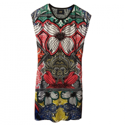 Cavalli Class Dress