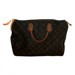 Louis Vuitton Speedy Monogram