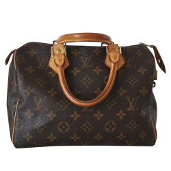 Louis Vuitton Speedy 25 Monogram Canvas