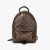Louis Vuitton Palm Springs Backpack PM