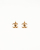 Chanel Coco Mark Hook Earrings