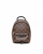 Louis Vuitton Monogram Mini Palm Springs Backpack