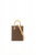 Louis Vuitton Monogram Petit Sac Plat Bag