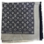 Louis Vuitton Schal
