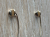 Saks Fifth Avenue boucles d'oreilles en fil ondulé en or 14K