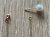 Saks Fifth Avenue Kaskadenförmige Ohrringe aus Gold und Perlen